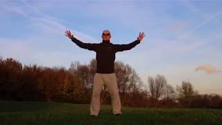 Wudang Qigong Shiba Fa exercises 1 through 10