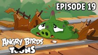 Angry Birds Toons | Short & Special - S3 Ep19