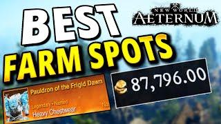 New Players Need To know These Farm Spots New World Aeternum