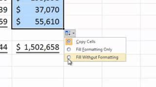 Speeding Data Entry With Excel's Auto Fill Options.mp4