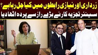 Analyst Gul Bukhari Claims Secret Talks Between Imran Khan And Asif Zardari | Capital TV