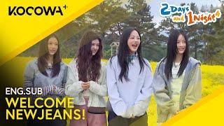 It's NEWJEANS First Variety Show Appearance!  | 2 Days And 1 Night EP229 | KOCOWA+