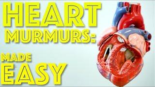 Heart Murmurs Made Easy - Aortic and Mitral Heart Murmurs explained - Cardiology - Dr Gill