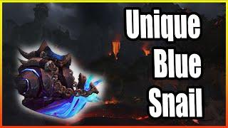 How to tame the Unique Blue Snail│Hunter Pet Guide│Dragonflight