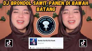 DJ BRONDOL SAWIT PANEN DI BAWAH BATANG OT CAKRAWALA OKU TIMUR REMIX PALEMBANG VIRAL TIKTOK 2024