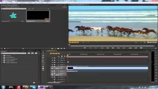 Adobe Premiere Tutorial: How to Cut Video and Audio Clips