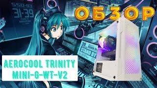 Корпус AeroCool Trinity Mini-G-WT-v2 ЖЕНСКИЙ ?!