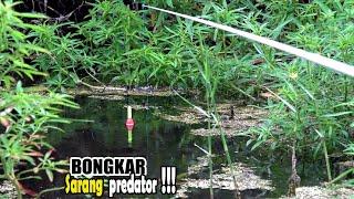 Beginilah tempat mancing yang dicari-cari #SG-376