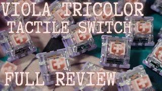 Satisfying Tactiles! Viola Tricolor Switch: Full Review on Vega 65! Keyboard Typing/ASMR