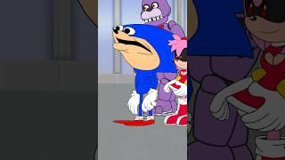 SHIN SONIC AND AMY.EXE ACCIDENT