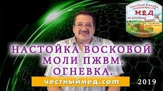 "Честный мед". Настойка восковой моли ПЖВМ. Огневка. 2019