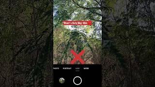 Pro mode tutorial  | Subscribe for more tips | #shorts #nature