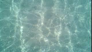 Shallow Ocean Water Ripples & Waves Web Page Header Video Background