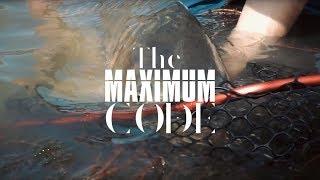 FULL FILM - The Maximum Code - Vol. 2 - Canarian Carp