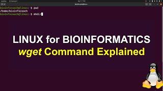 wget  command Explained in Linux for  Bioinformatics