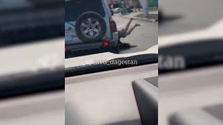 «Простите, не уследил»: из машины с волгоградскими номерами в Дагестане выпала девушка