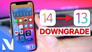 iOS 14 Downgrade auf iOS 13 - OHNE Datenverlust! - iOS 14 Beta löschen! | Nils-Hendrik Welk