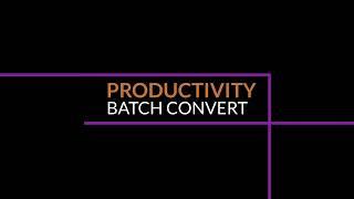 VizEx Edit Plus - Batch Conversion Tool