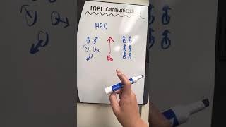 What MRI Does to Our Hydrogen Protons