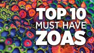 Top 10 Must Have Zoanthids - World Wide Corals