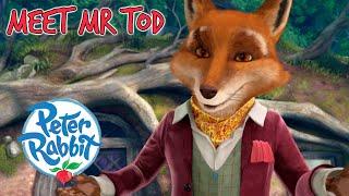 @OfficialPeterRabbit - Meet Mr Tod  | Meet the Characters | Cartoons for Kids