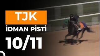 Adana İdman Pisti 10/11/2024 Pazar