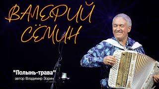 Песня "ПОЛЫНЬ-ТРАВА". Запись с концерта Валерия СЁМИНА в ПЕРМИ 6 января 2025 г. ️ Душевно и красиво