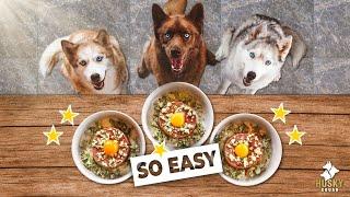 Kibble to Raw Food - HOW & WHY I Transitioned My Dogs | Husky Squad