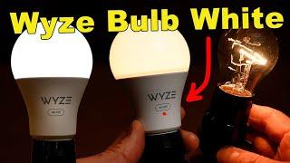 Wyze Bulb White - Here's Why I Think They're Incredible!!