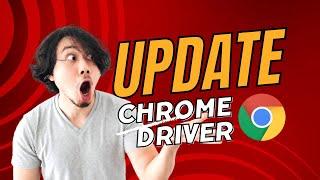 Chrome driver is not same issue | Update Chrome Driver within 5 minutes | WA Mantra | WA Sender