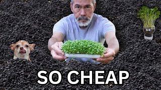 SEEDS ARE CHEAP