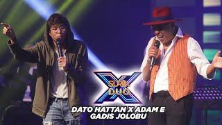 Dato Hattan X Adam E - Gadis Jolobu l Suria Duo X