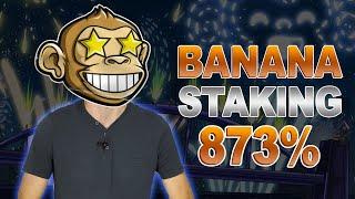 Banana Gun Coin BANANA coin has the most profitable staking ever  BANANA Crypto