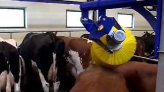Swinging Cow Brush | DeLaval Automated Milking Solutions | DeLaval