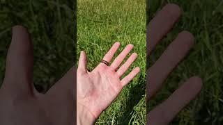 how to touch grass #grass #touchgrass