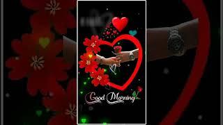 Good Morning Status Video WhatsApp Status Video Good Morning 10/12/2022