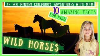 10 Amazing Facts About Wild Horses For Kids