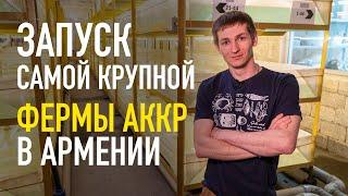 Самая крупная ферма АККР в Армении. Запуск, консультация и полное сопровождение.