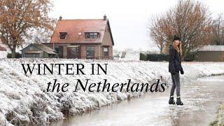 Winter in the Netherlands: frosty mornings and winter swims | Slow living vlog