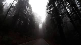 A DRIVE THROUGH THE GIANT FOREST - SEQUOIA NATIONAL PARK