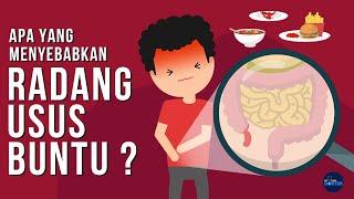 Apa yang menyebabkan Usus Buntu?