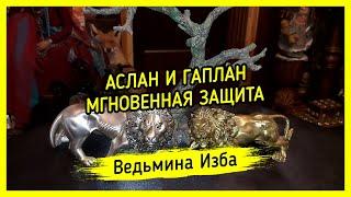 АСЛАН И ГАПЛАН. МГНОВЕННАЯ ЗАЩИТА. ДЛЯ ВСЕХ. ВЕДЬМИНА ИЗБА ▶️ ИНГА ХОСРОЕВА