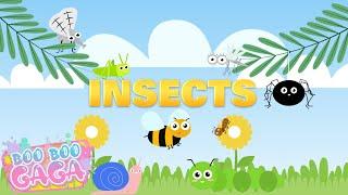 Insect Song | Bugs Song | Insects for Kids [by Boo Boo Gaga] #booboogaga