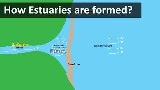 How Estuaries are formed | Coastal Estuary (sandbar) | Geography terms
