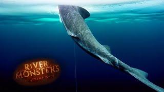 Catching A Mysterious Arctic Shark | SHARK | River Monsters