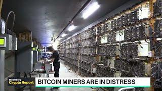 Impact of Crypto Winter on Bitcoin Miners