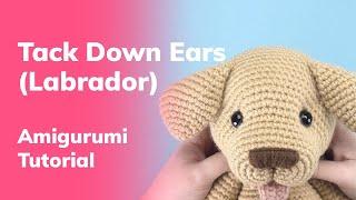 How to Tack Down Ears (Labrador Style) | Amigurumi Crochet Tutorial | Lulu the Labrador