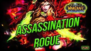 Last Raid in 2022 !! Assassination Rogue Naxxramas 25 | Wrath of The Lich King