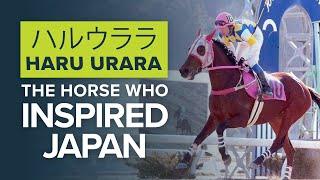 ハルウララ: JAPANESE RACEHORSE INSPIRES A NATION | HARU URARA