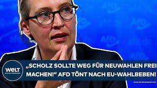 ALICE WEIDEL: "Scholz sollte den Weg für Neuwahlen frei machen!" AfD tönt nach Eurowahl-Beben!